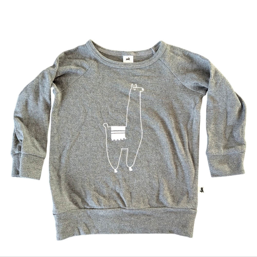 🌼2/$30🌼Little and Lively Bamboo Cotton Pullover 1T/2T